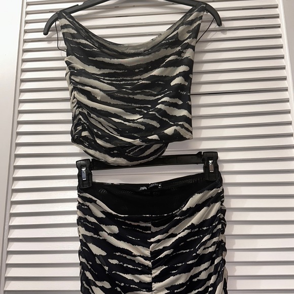Zebra Mesh Tulle Cowl Neck Backless Top and Skirt Outfit Set - Picture 1 of 11